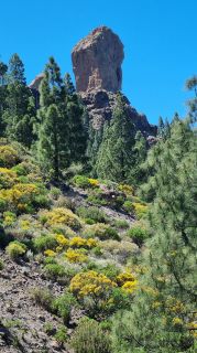 2023-04-GranCan-Roque_Nublo-026.jpg